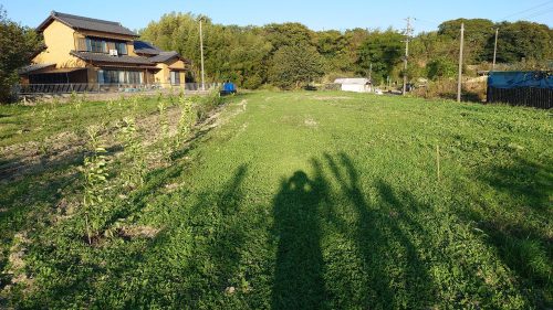 貸し農地